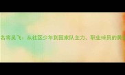 北京乒乓球名将吴飞从社区少年到国家队主力职业球员的黄金成长路径