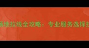 福田区羽毛球场地拉线全攻略专业服务选择技巧与避坑指南
