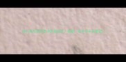 拜仁慕尼黑丹麦球员表现全数据战术与未来展望