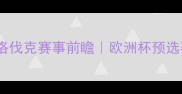 爱尔兰vs斯洛伐克赛事前瞻欧洲杯预选赛关键战全