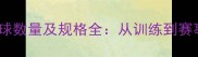 羽毛球比赛用球数量及规格全从训练到赛事的必备指南