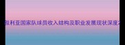 叙利亚国家队球员收入结构及职业发展现状深度