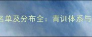 山东鲁能赛季球员名单及分布全青训体系与外援配置深度分析