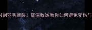 羽毛球比赛关键时刻羽毛断裂资深教练教你如何避免受伤与提升接发球技巧