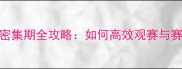 网球赛事密集期全攻略如何高效观赛与赛事分析