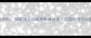 齐达内VS古利特绿茵场上的战术巅峰对决法国VS荷兰的世纪碰撞全