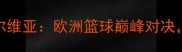 世锦赛荷兰vs塞尔维亚欧洲篮球巅峰对决谁将问鼎冠军