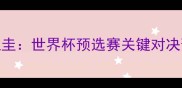 沙特vs巴拉圭世界杯预选赛关键对决预测与战术