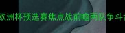 斯洛伐克vs白俄罗斯欧洲杯预选赛焦点战前瞻两队争斗背后的战略与实力博弈