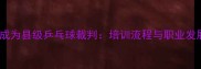 如何成为县级乒乓球裁判培训流程与职业发展全