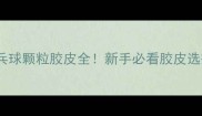 最新乒乓球颗粒胶皮全新手必看胶皮选择指南