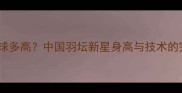 杨晨羽毛球多高中国羽坛新星身高与技术的完美平衡