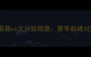水户蜀葵vs大分软银鹰赛季巅峰对决全