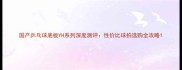 国产乒乓球底板YH系列深度测评性价比球拍选购全攻略
