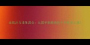 龙屹乒乓球生涯全从国手到教练的十年蜕变之路