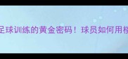 ABN球员楼兰基地大职业足球训练的黄金密码球员如何用楼兰训练法登顶世界之巅