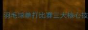 单打如何制胜羽毛球单打比赛三大核心技巧与训练方法