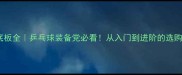 波尔底板全乒乓球装备党必看从入门到进阶的选购指南