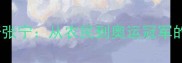 羽毛球传奇张宁从农民到奥运冠军的逆袭之路