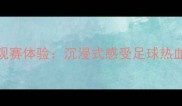 世界杯现场观赛体验沉浸式感受足球热血的五个维度