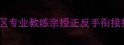 羽毛球反手技术全攻略广东地区专业教练亲授正反手衔接技巧与实战应用附训练计划
