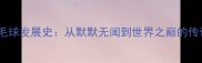 韩国羽毛球发展史从默默无闻到世界之巅的传奇之路