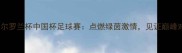 夏奈尔罗兰杯中国杯足球赛点燃绿茵激情见证巅峰对决