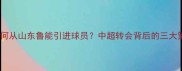 上海申花如何从山东鲁能引进球员中超转会背后的三大策略与挑战