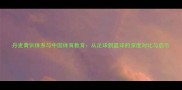 丹麦青训体系与中国体育教育从足球到篮球的深度对比与启示