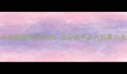 德国AVX乒乓球底板深度评测进阶选手必入的暴力美学战板