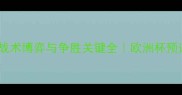 里尔VS本菲卡战术博弈与争胜关键全欧洲杯预选赛焦点战前瞻