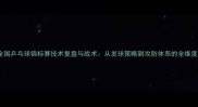 全国乒乓球锦标赛技术复盘与战术从发球策略到攻防体系的全维度