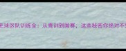 广西羽毛球区队训练全从青训到国赛这些秘密你绝对不知道