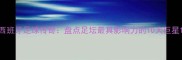 西班牙足球传奇盘点足坛最具影响力的10大巨星