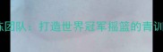 中国男羽毛球教练团队打造世界冠军摇篮的青训体系与战术革新