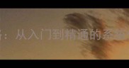 羽毛球步法训练全攻略从入门到精通的系统化动作与实战应用指南