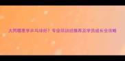 大同哪里学乒乓球好专业培训班推荐及学员成长全攻略