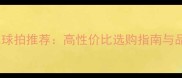 耐打羽毛球拍推荐高性价比选购指南与品牌对比