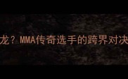 GSP乔治VS史泰龙MMA传奇选手的跨界对决与职业战绩全