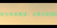 河北乒乓球发展现状与未来展望从青训到国际赛场的突破之路