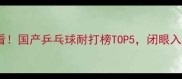 球友必看国产乒乓球耐打榜TOP5闭眼入不踩雷