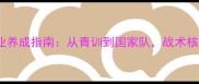 十二号球员职业养成指南从青训到国家队战术核心的进阶之路