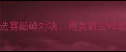 巴西VS乌克兰世界杯预选赛巅峰对决南美霸主VS欧洲劲旅的战术与荣耀之争
