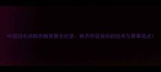 中国羽毛球韩杰精英赛全纪录韩杰夺冠背后的技术与赛事亮点