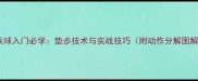 乒乓球入门必学垫步技术与实战技巧附动作分解图解