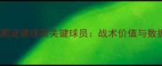 拜仁慕尼黑波黑球员关键球员战术价值与数据表现全