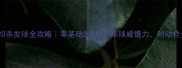羽毛球扣杀发球全攻略零基础3步提升杀球威慑力附动作分解图解