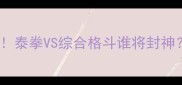 杀玉狼vs播求终极战泰拳VS综合格斗谁将封神热血碰撞全网关注