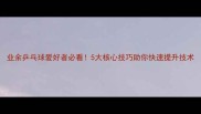 业余乒乓球爱好者必看5大核心技巧助你快速提升技术