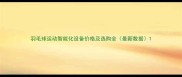 羽毛球运动智能化设备价格及选购全最新数据